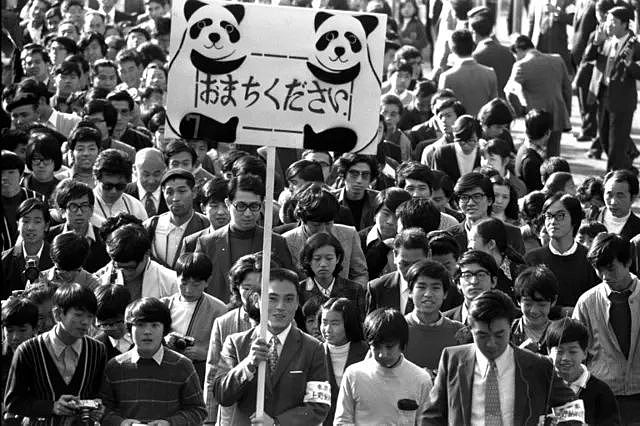 在日本，熊猫是一种信仰 - 27