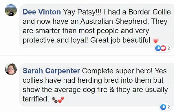 澳洲大火中，这只狗成了全网称赞的英雄 - 8