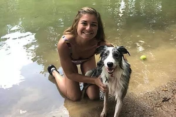 美国4只宠物狗在湖里游泳之后，相继死亡！ - 1