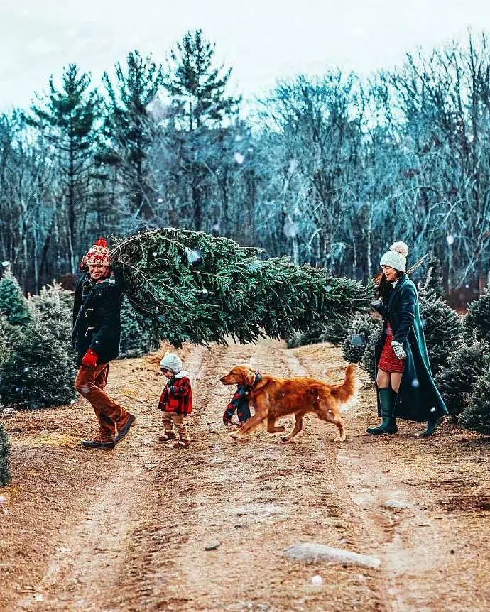 这家人带着狗狗，把圣诞节过的也太唯美了吧！ - 3