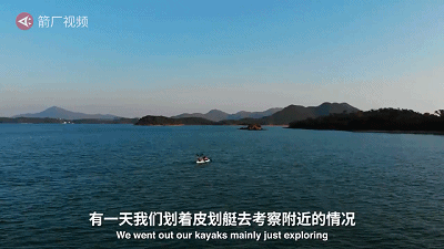 香港“犬之岛”——专门遗弃狗狗的5座孤岛，如今变成这样了…… - 2