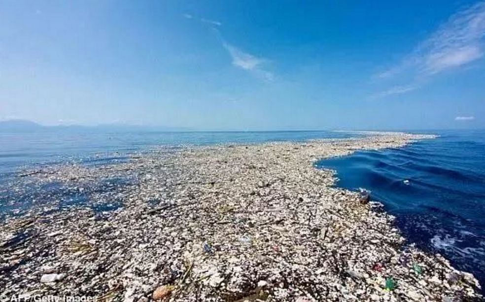 科学家警告：你吃的不是海鲜，你一年可能吃了上万块塑料！ - 5