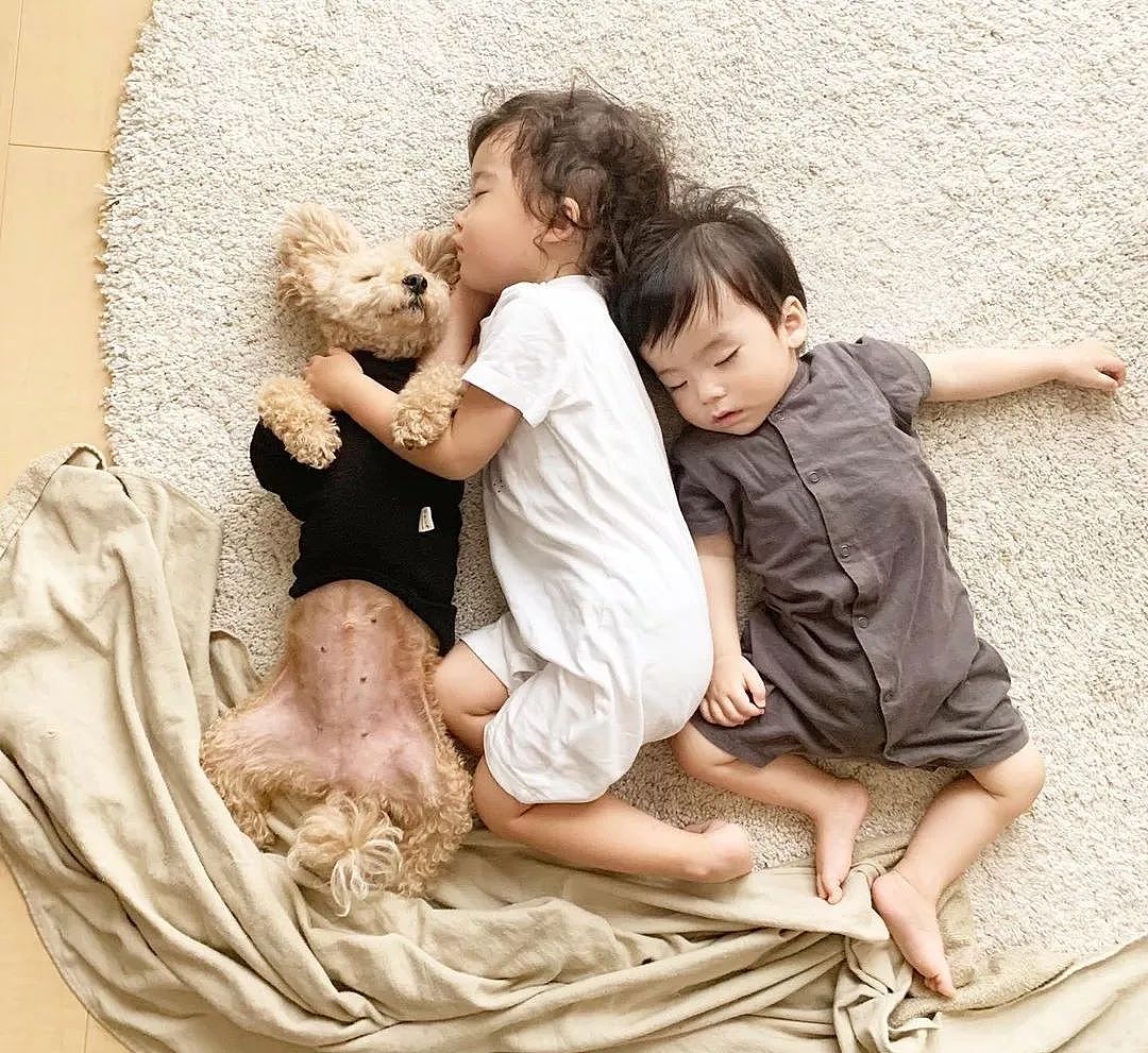 日本妈妈每天给狗狗和孩子拍照，这画风…也太可爱了吧！ - 8