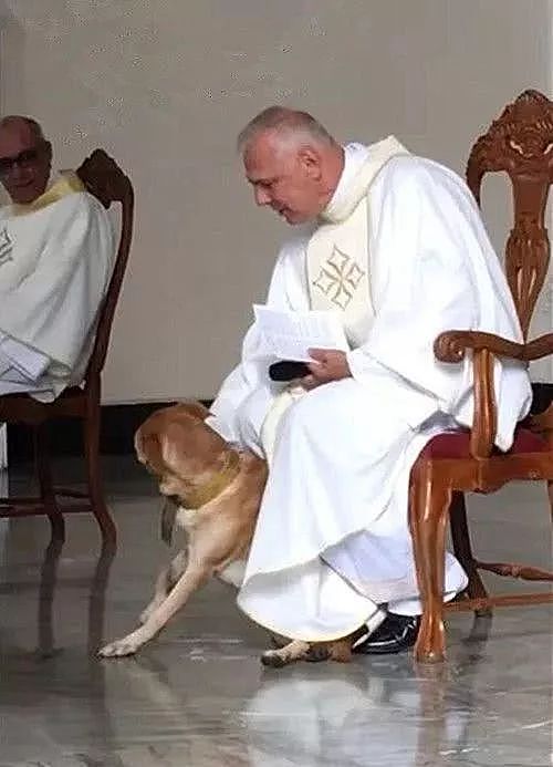 狗狗突然闯进教会，竟然还朝着神父撒起娇来… - 2