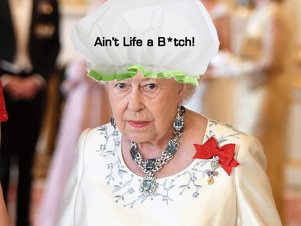圣诞节，哈里王子给女王送了顶带脏话的浴帽。她还挺乐呵？ - 34