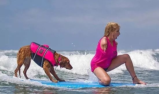 让狗狗带人冲浪，这个海滩的服务也太赞了吧！ - 6