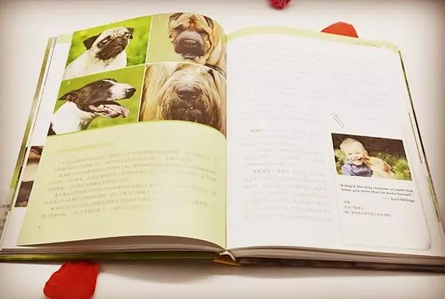 关于狗狗90%以上的秘密，都在这本书里了！ - 12