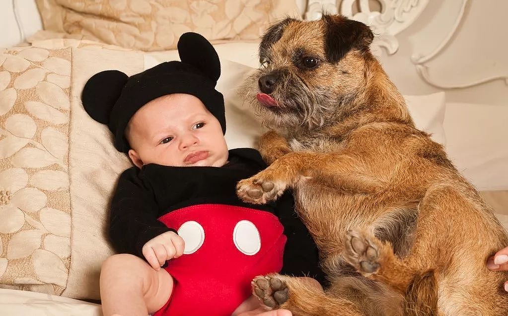 世上有一种爱叫：当宠物狗遇上小Baby - 12