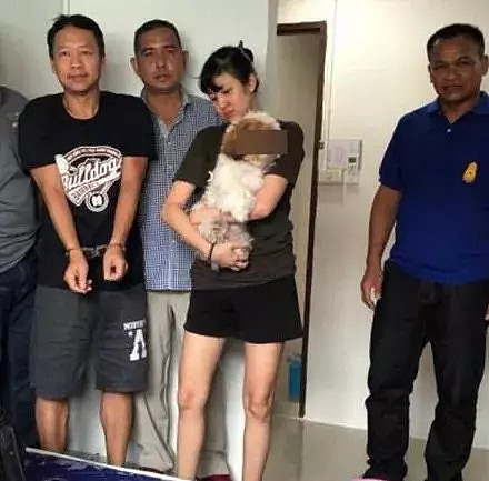 泰国警方抓获了著名大盗，但大家的关注点，都在这只狗身上... - 2
