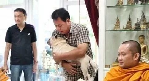 泰国夫妇花几百万给狗举办葬礼，高僧亲自诵经超度 - 4