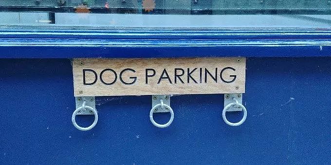 商场门上竟然有专为狗狗设计的标识？也太可爱了叭！ - 10