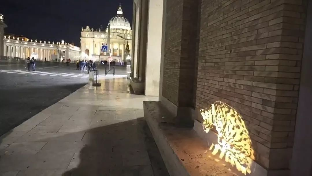 近日罗马街头惊现巨型光雕艺术猫咪，才发现猫咪还可以这么玩！ - 6