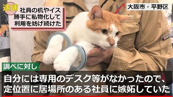 日本一只橘猫由于妨害公务罪，惨遭逮捕，目前情绪稳定！ - 13
