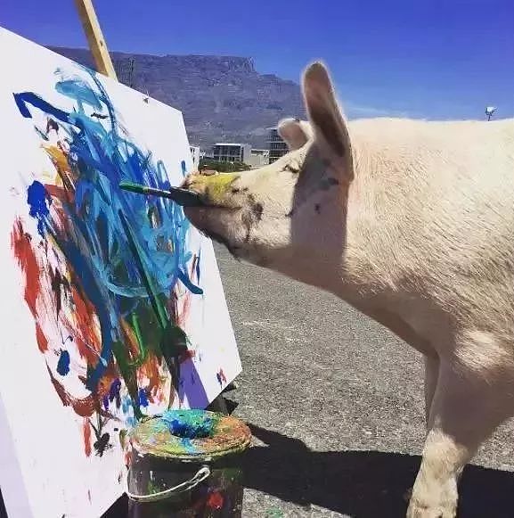 一头待宰的猪画了幅画，竟卖了23万元，被称为猪界毕加索，还全世界办展览！ - 15