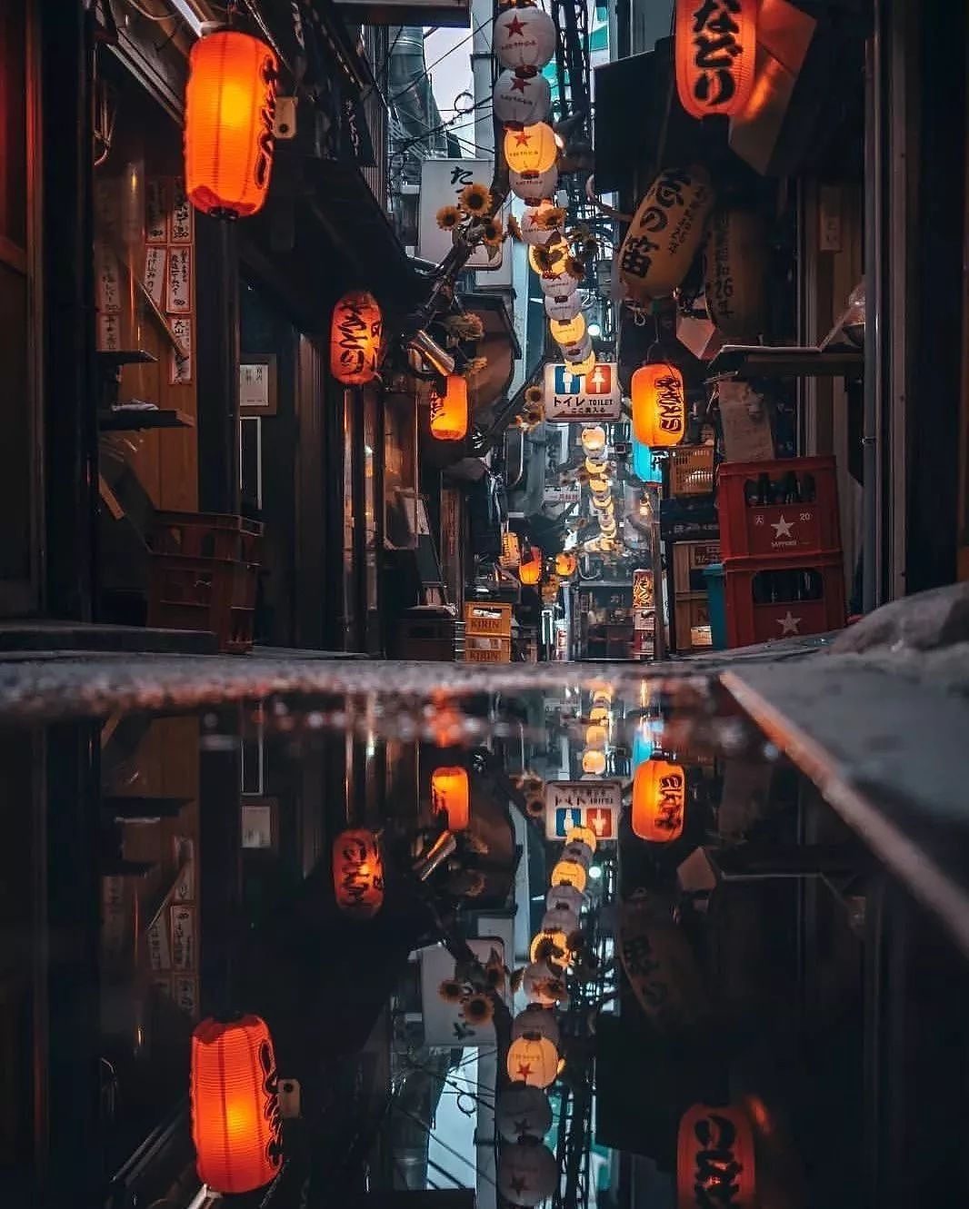 从日本到中国，火遍ins的摄影组图惊艳世界 - 36