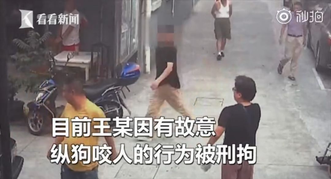 警方跨省抓狗？是的，这件事在上海发生了! - 9