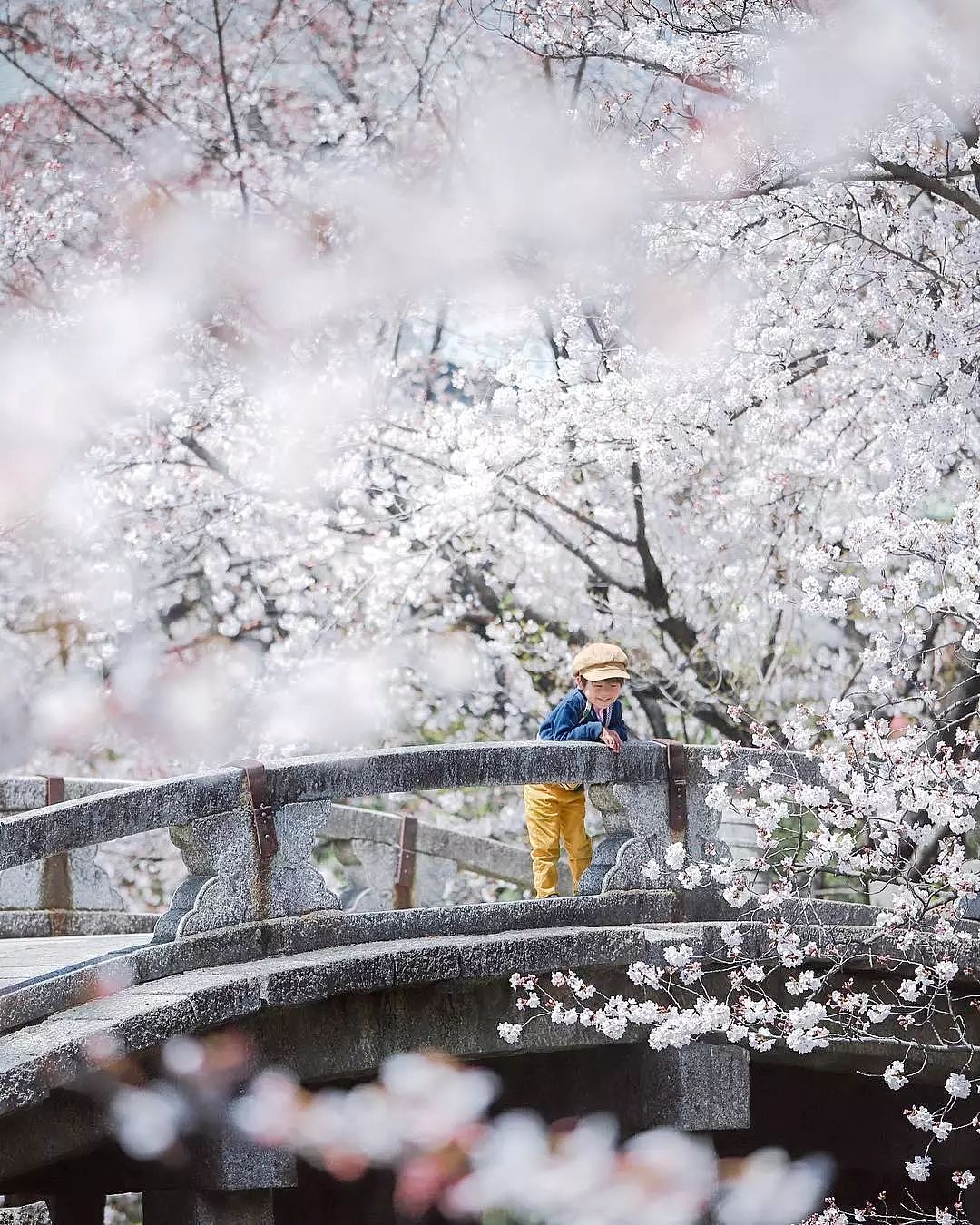 日本妈妈偷拍樱花树下的儿子，美成宫崎骏童话，治愈无数人 - 4