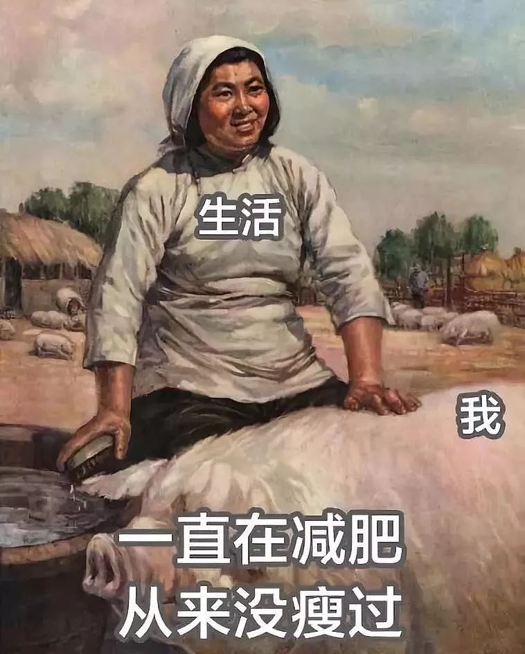 中国女子减肥图鉴，哈哈哈哈哈哈哈哈 - 2
