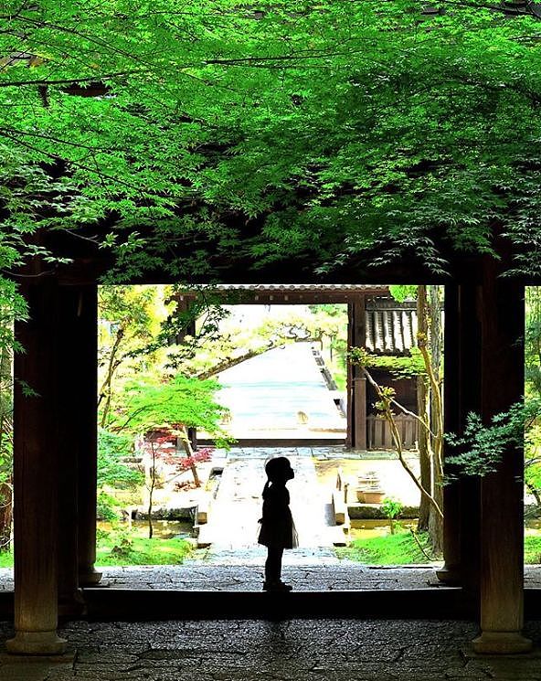 偷拍女儿3年，日本一老爸把女儿拍成宫崎骏动画，每天3万人催他晒女儿··· - 48