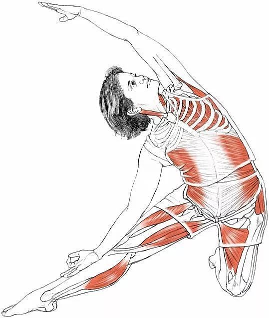 侧腰小动作，每天30秒，腰腿细了，气质蹭蹭往上涨 ▷ 体式精选 - 4
