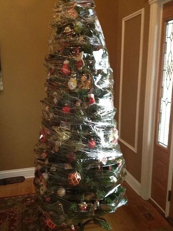 人们为保护圣诞树而采取的措施 - 1