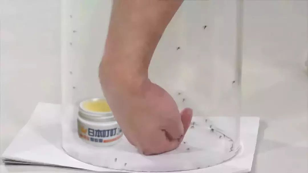 【万人疯抢】日本叮叮蚊子膏，1盒搞定一夏天！蚊虫再不敢嚣张 - 9