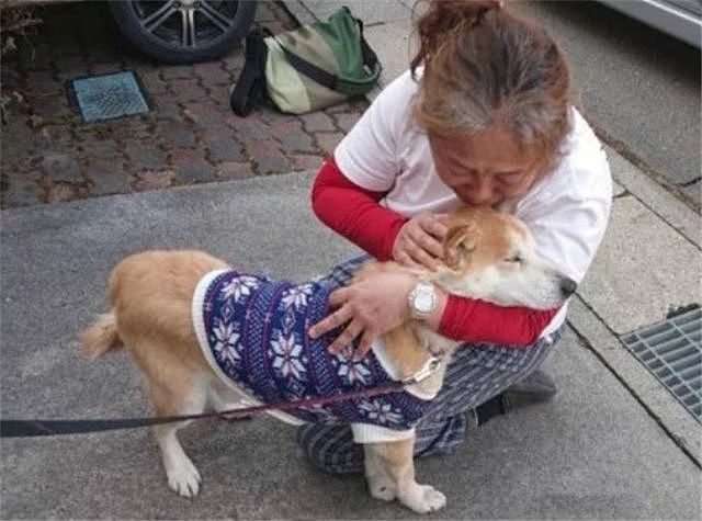 她一生救过1400多只宠物，而8年后才与第一次救下的狗狗重逢…… - 8