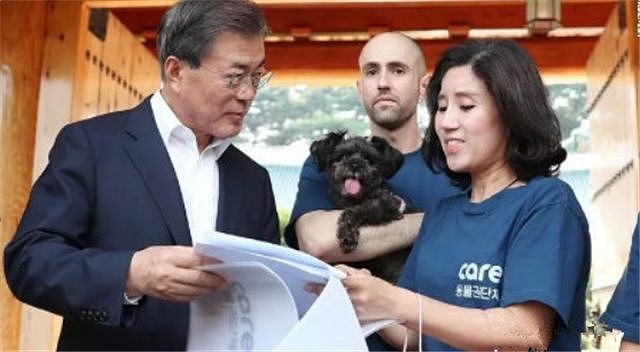 政府补贴200万韩元，为的就是撤掉所有涉及狗肉的饭店招牌！ - 3