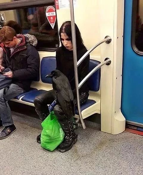 欢迎乘坐莫斯科地铁 - 7