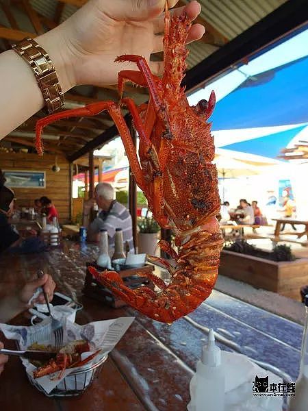 猫本吃货 | 悉尼超火爆餐厅Lobster Shack在墨尔本试营业三周！跟着吃货姐在圣诞节$50享受龙虾盛宴！ - 5