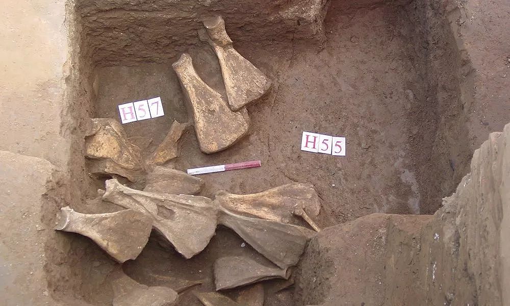 时代 | 三千年前的商朝人怎么生活？甲骨文里有很多信息 - 8
