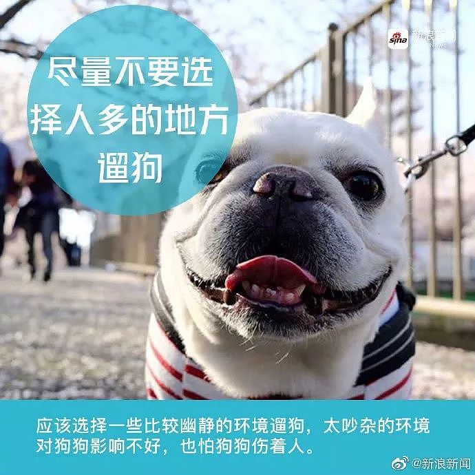 警方跨省抓狗？是的，这件事在上海发生了! - 21