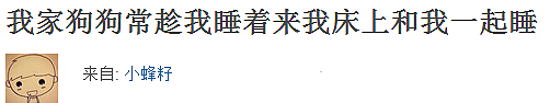 狗狗在哪儿睡觉最舒服？废话，当然是主人的大床上啦！ - 2