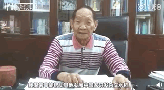 我被89岁袁隆平的一段英文致辞惊呆了 - 4