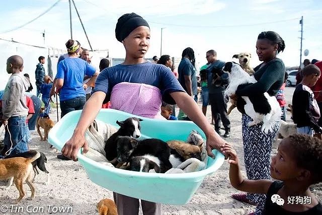 南非一女士把狗狗放在玩具车里，带着它们步行2小时来看医生！ - 6