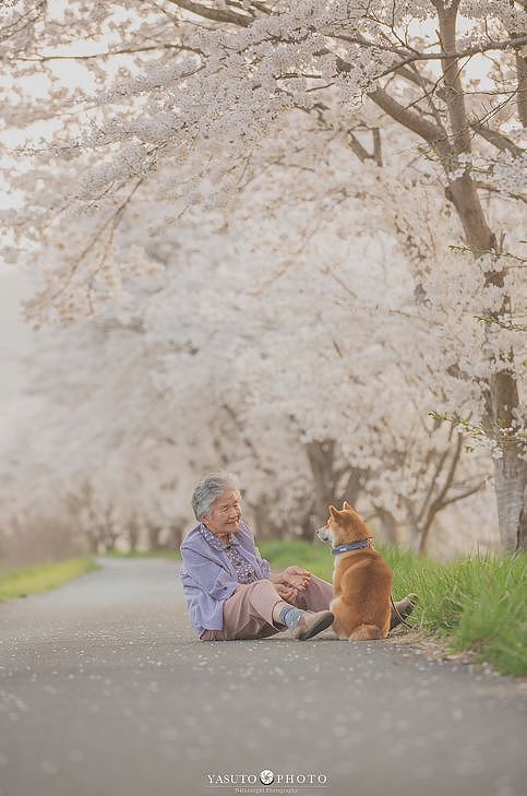 日本小哥抓拍奶奶和狗狗的照片，第一张就被暖哭了… - 2