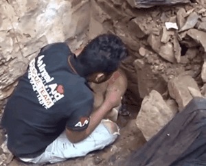 印度水灾后，人们在废墟中发现一只疯狂刨土的狗…… - 4