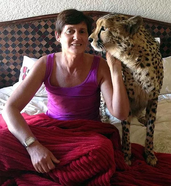 南非女子身患绝症，她养的一只大猫看见刚出院的她竟然... - 1