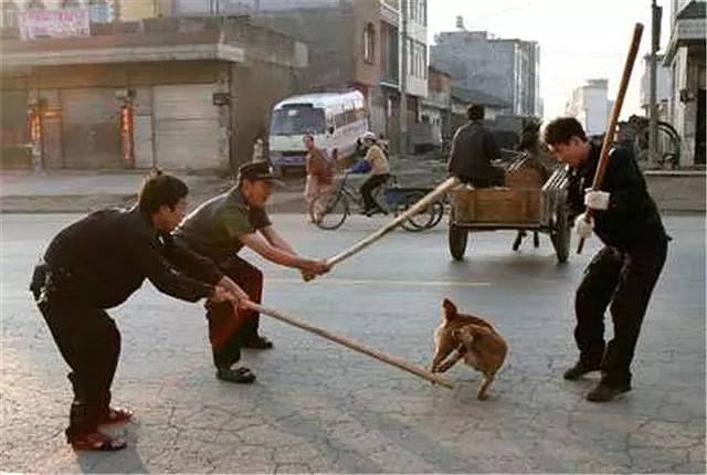 蒲江的警察蜀黍只用一招，就让养狗人“束手就擒”… - 3