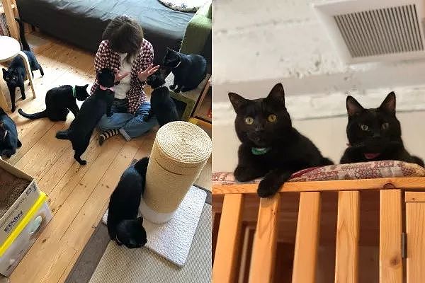 这间咖啡厅只养黑猫，一走进去都不认不出谁是谁，黑猫控有福了！ - 4