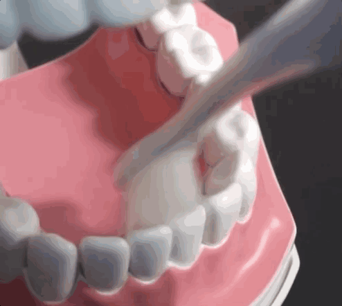 牙医手把手教你最实用的刷牙方法，1 步 1 动图！ - 20