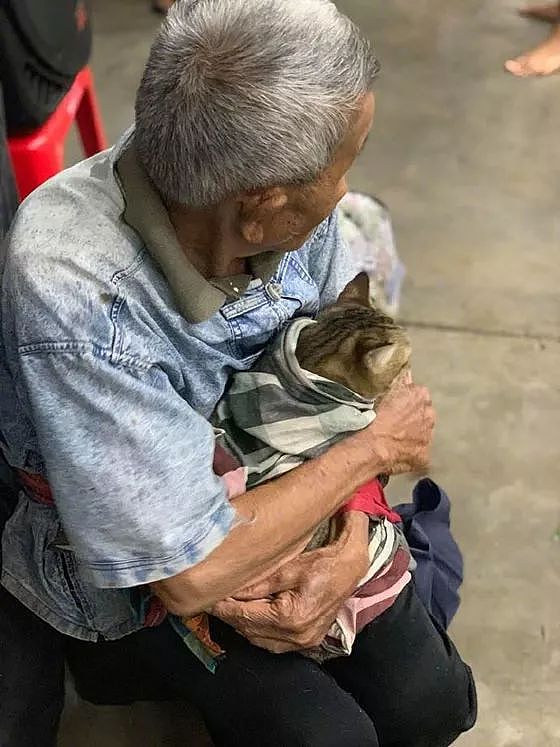 网友拍到这一幕，一老爷爷抱着一只猫，这和谐的面面让人好暖... - 5
