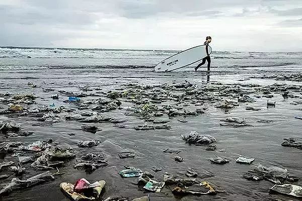 科学家警告：你吃的不是海鲜，你一年可能吃了上万块塑料！ - 11
