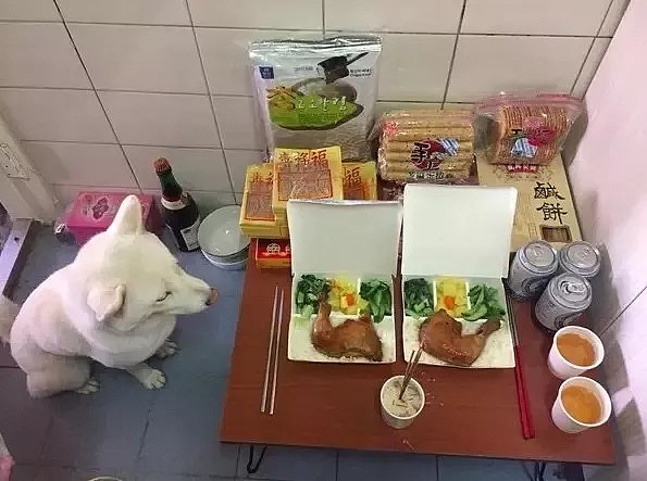 狗子贪吃咬了供桌上的鸡头，事后全家人带它向土地公道歉... - 11