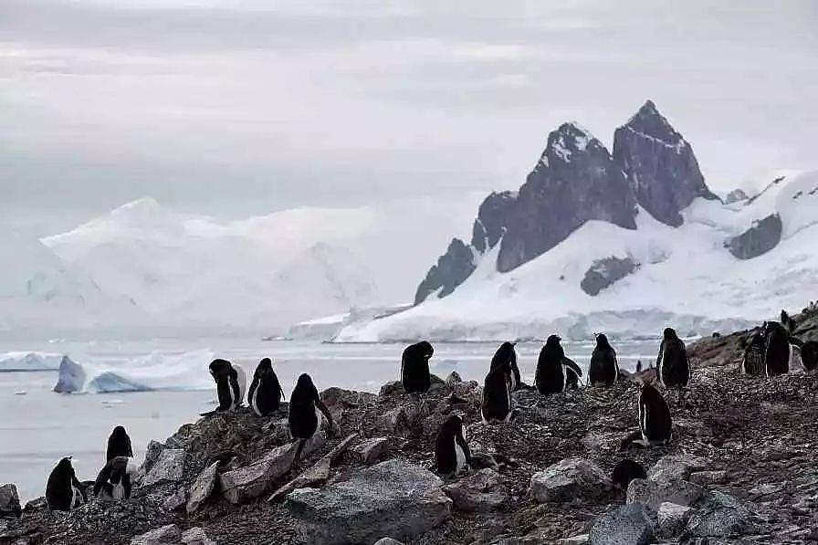 韩国在南极救中国科考队员，各国齐聚南极都在干些啥？｜军情晚报 - 6