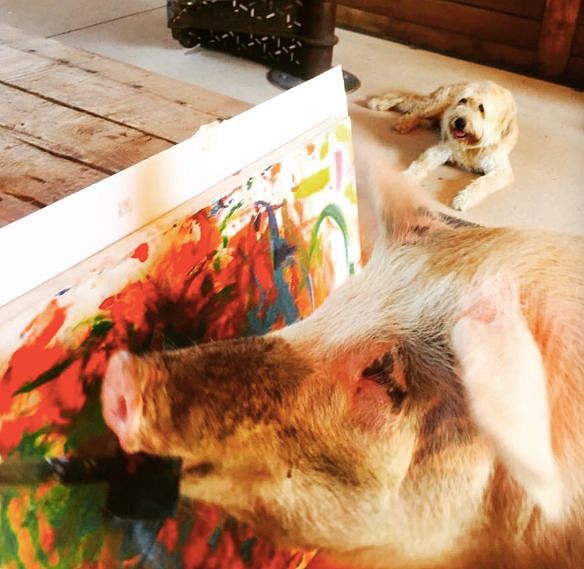 一头待宰的猪画了幅画，竟卖了23万元，被称为猪界毕加索，还全世界办展览！ - 32