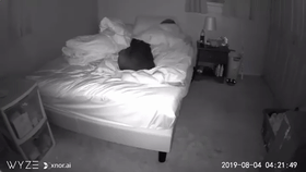 主人睡眠不好，以为是狗狗在床上捣乱，可看了监控发现... - 5