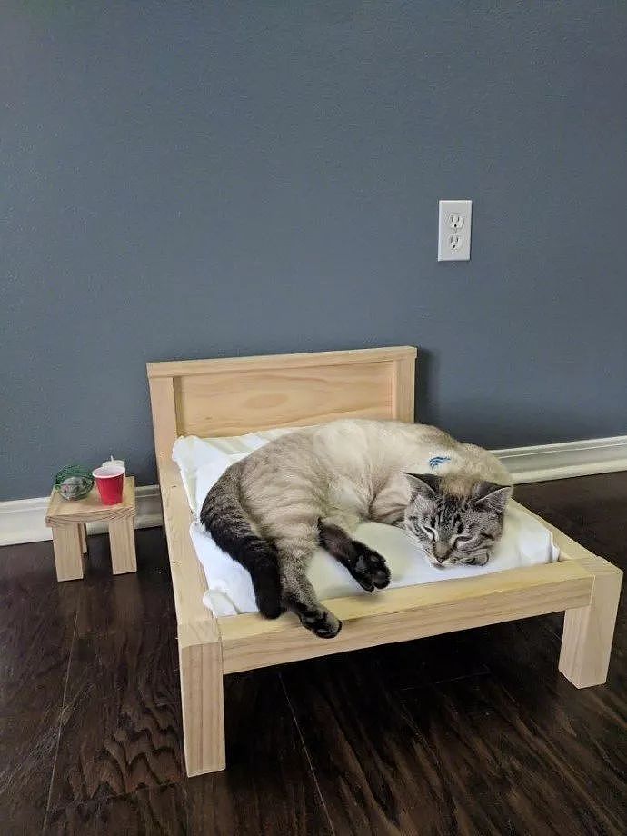 男主给猫做了张迷你小木床，还有床头柜，猫看后直接上去睡了！ - 4