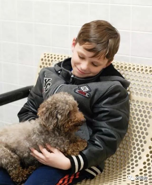14岁的年老狗狗被抛弃，最终被一名小男孩儿收养了！ - 3