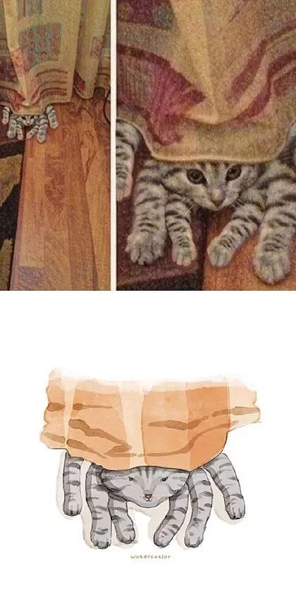 这位画师把网上的沙雕猫猫图，画成了插画，这画风也太可爱了！ - 11